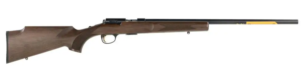 BROWNING T-BOLT TARGET RIB 22MAG 22IN BLUE WOOD 11RD